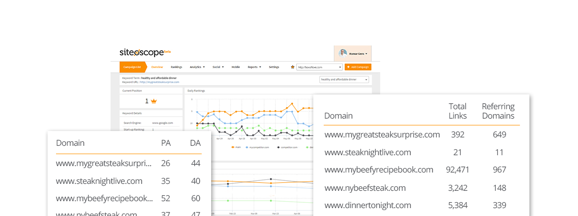 Siteoscope_Competitor Dash