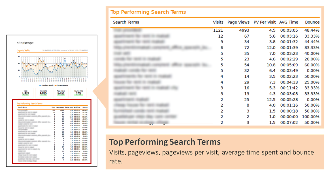 Top Performing Search Terms - Siteoscope Report - Blog Post