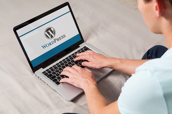WordPress Website - Siteoscope